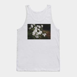 White Viburnum Flowers in Springtime Tank Top